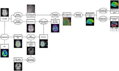 An Automated Pipeline for the Analysis of PET Data on the Cortical Surface